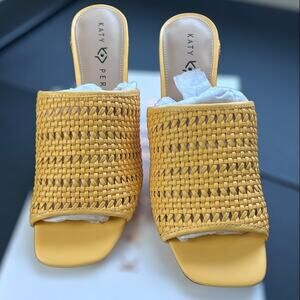 Katy Perry The Tana Woven Slide Chunky Heel Sandal Size 9.5 New in Box!